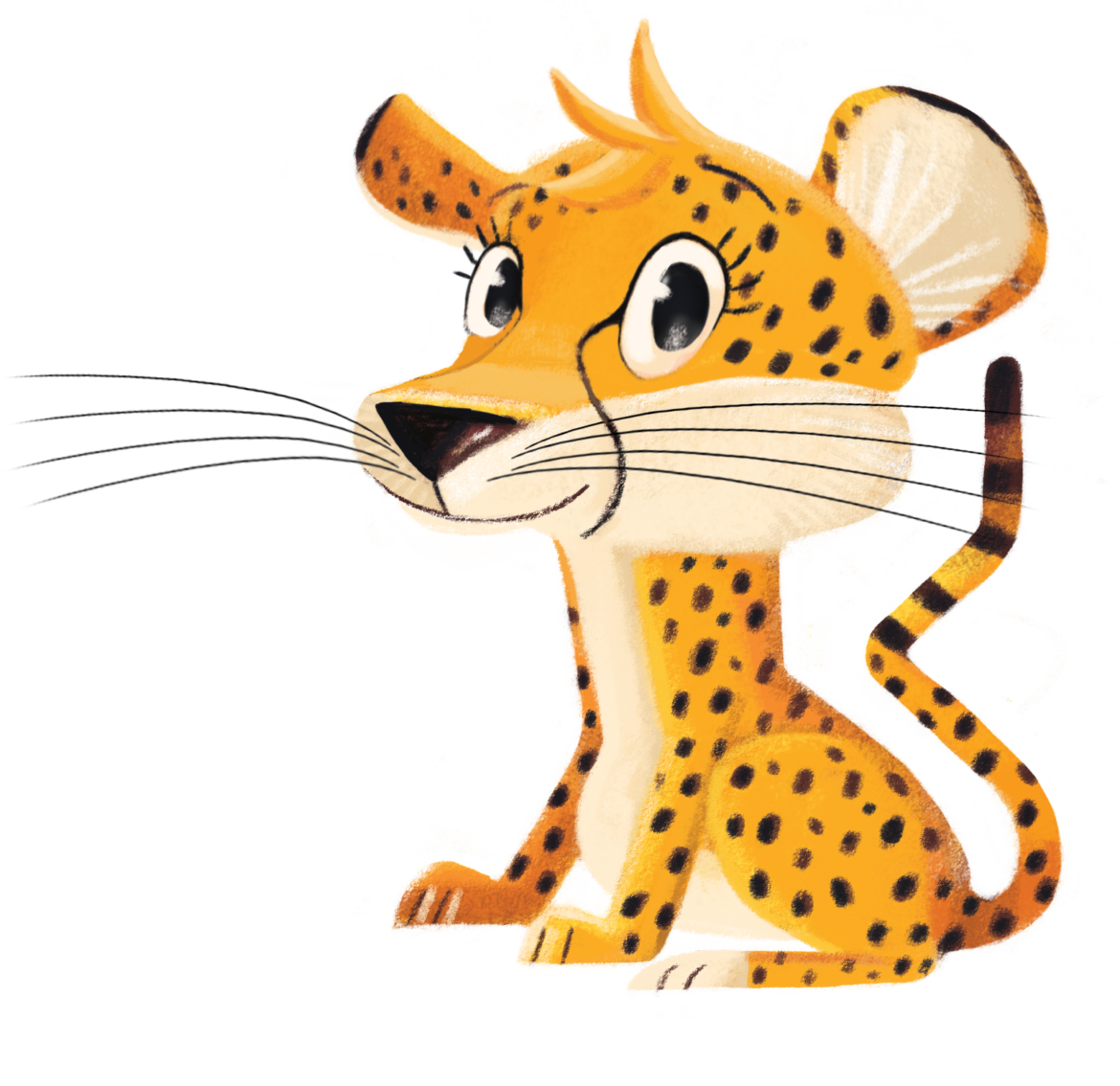 Gepard.png